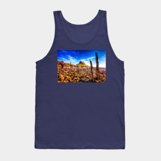 Lindisfarne Castle Holy Island, Northumberland, UK Tank Top